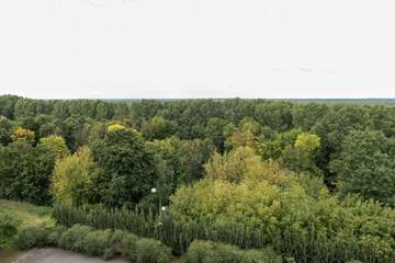 Фото номера Полулюкс Отель Отель Турист г. Бобруйск 5