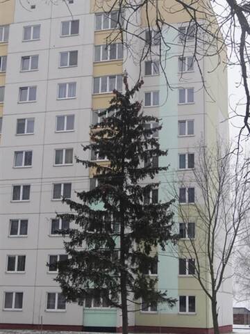 Фото номера Апартаменты Апартаменты PaulMarie Apartments on Stroiteley г. Бобруйск 11