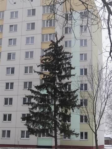Фото номера Апартаменты Апартаменты PaulMarie Apartments on Stroiteley г. Бобруйск 12